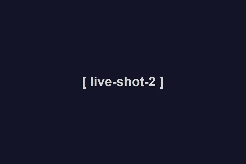 Crowd at a Pesky Rebels show